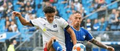 Darmstadt will daheim gegen den HSV drei Punkte