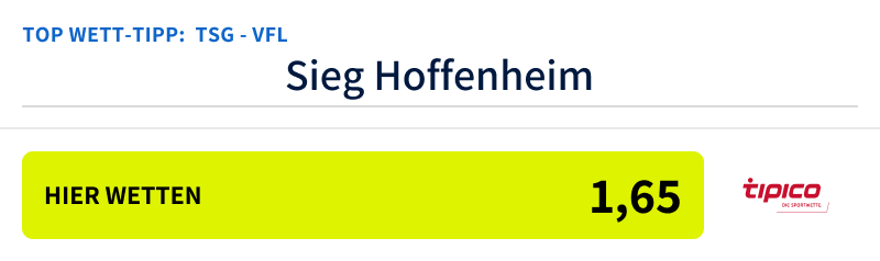 Top-Tipp TSG - VFL am 19.10.24